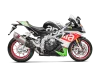 Vue 2 de l'échappement  for APRILIA TUONO V4 2017