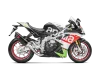 Vue 2 de l'échappement Evolution Line (Carbon) for APRILIA TUONO V4 2020