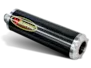 Vue 2 de l'échappement  for HONDA CBR900RR 2002