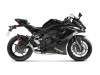 Vue 2 de l'échappement Racing Line (Carbon) for KAWASAKI NINJA ZX-25R 2022