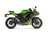 Vue 2 de l'échappement Racing Line (Titanium) for KAWASAKI NINJA 650 2020