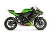 Vue 2 de l'échappement Racing Line (Titanium) for KAWASAKI NINJA 650 2026