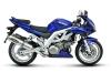 Vue 2 de l'échappement  for SUZUKI SV 1000 2003