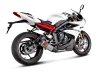 Vue 2 de l'échappement Evolution Line (Titanium) for TRIUMPH DAYTONA 675R 2016