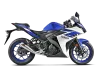 Vue 2 de l'échappement Racing Line (SS) MT-03 for YAMAHA MT-03 2019