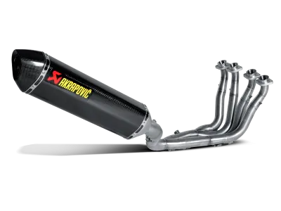 Evolution Line (Carbon) for YAMAHA FZ 1 FAZER 2015