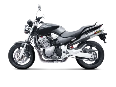 Slip-On Line (Carbon) for HONDA CB900F HORNET 2006